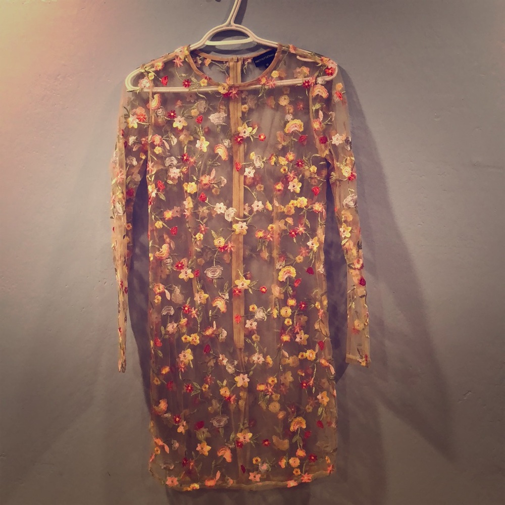 This is a beautiful embroidered see through dress.